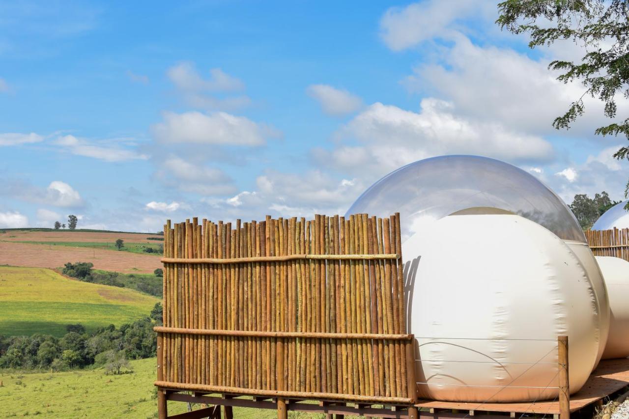 Bubble Pingo Do Mula Serra Da Canastra São Roque de Minas エクステリア 写真