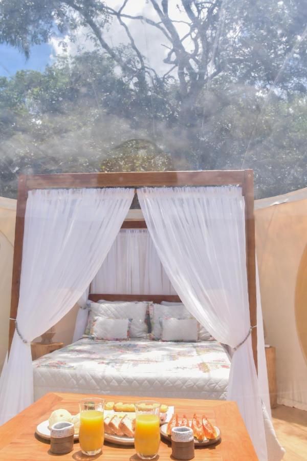 Bubble Pingo Do Mula Serra Da Canastra São Roque de Minas エクステリア 写真