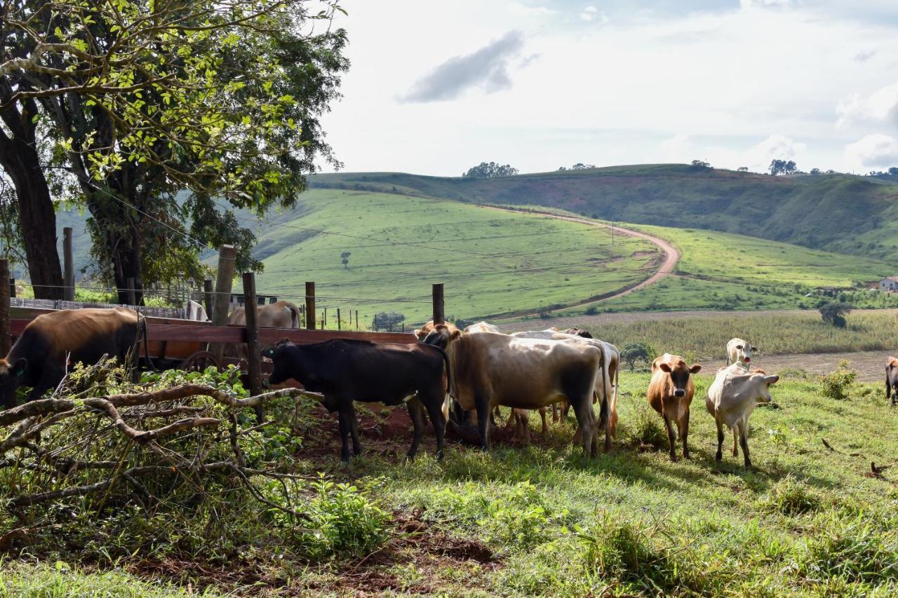 Bubble Pingo Do Mula Serra Da Canastra São Roque de Minas エクステリア 写真