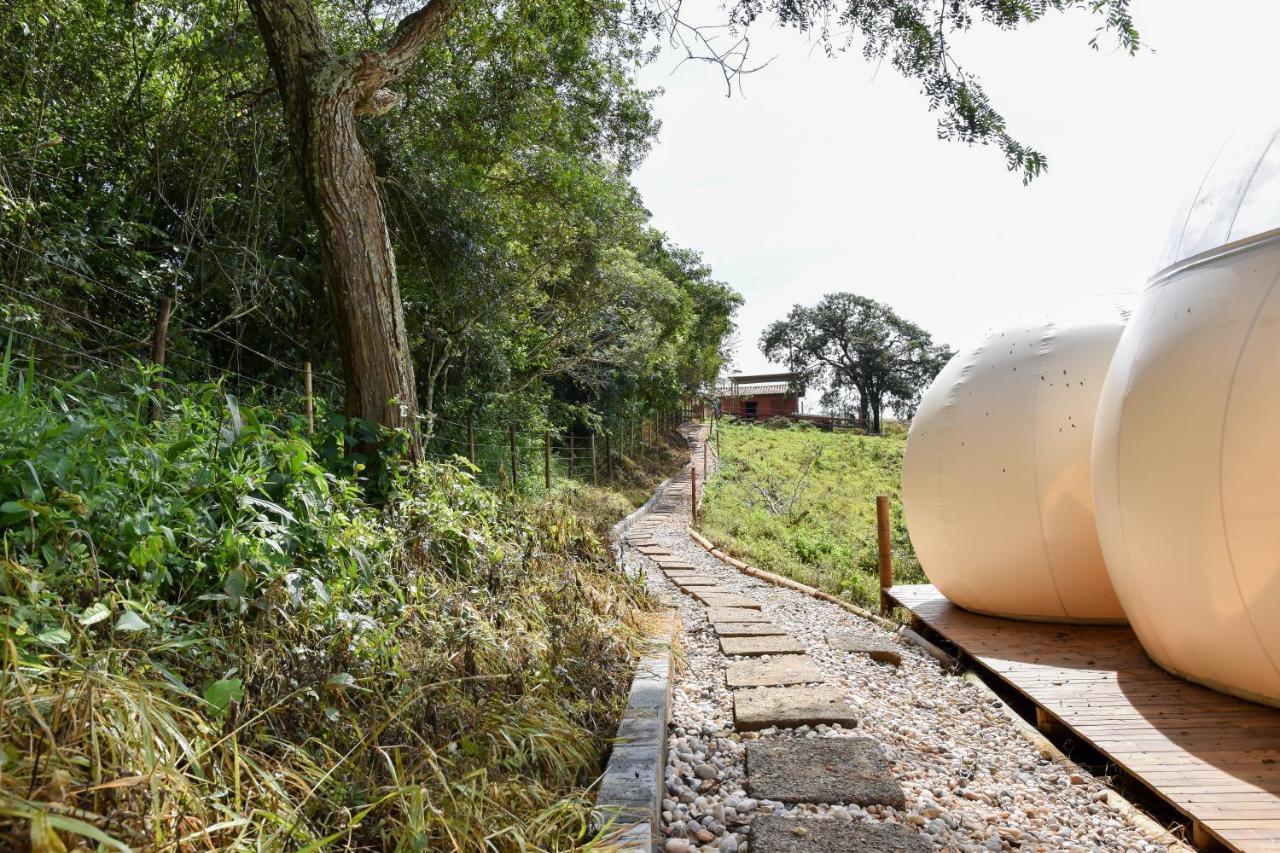 Bubble Pingo Do Mula Serra Da Canastra São Roque de Minas エクステリア 写真